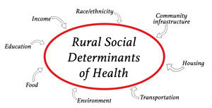 graphic identifying various rural social determinants of health