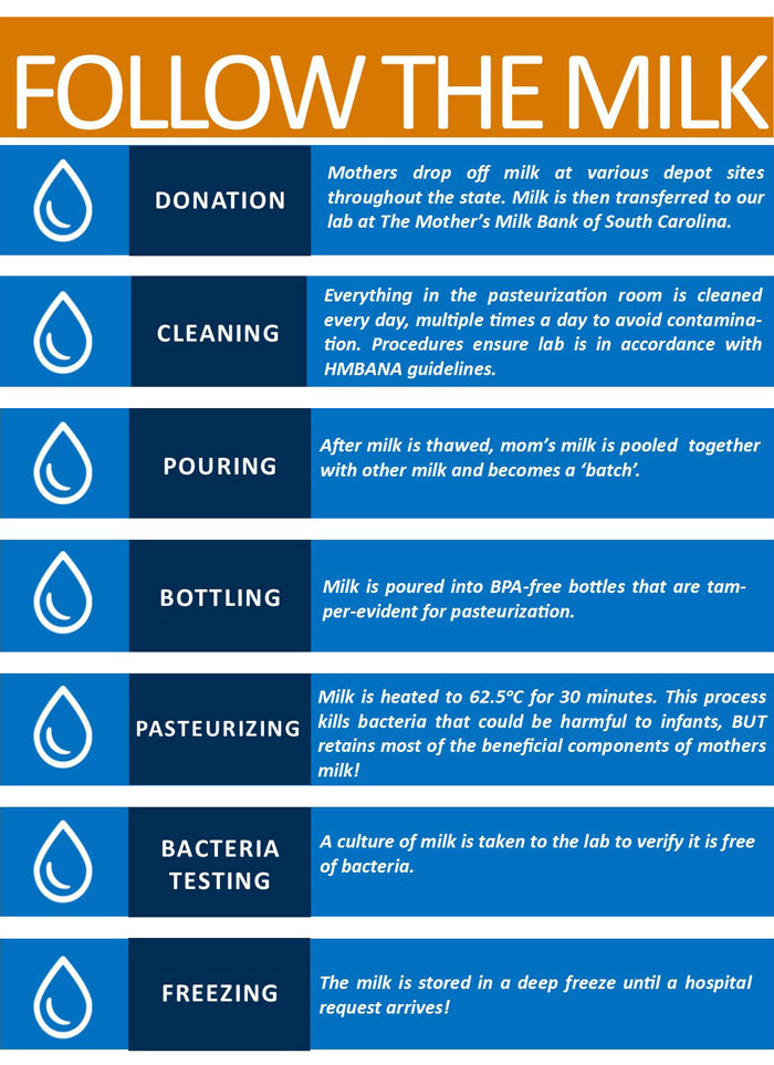 Milk Bank Milk Process Infographic