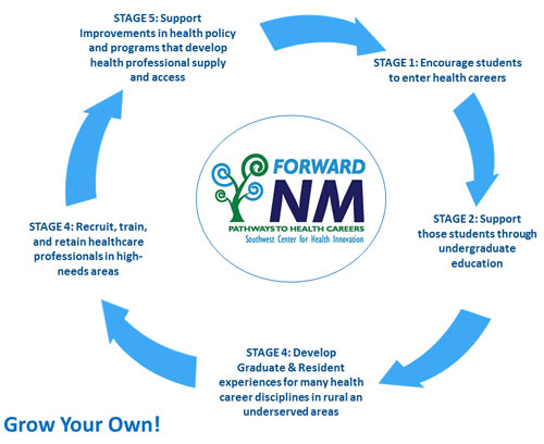 2016 Graphic showing the stages of the Pathways to Health Careers process