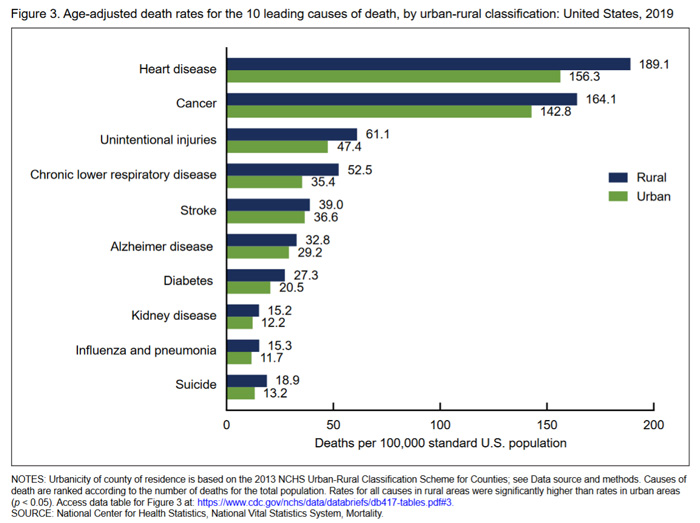 Figure 3: Age-adjusted death rates for the 10 leading causes of death, by urban-rural classification: United States, 2019