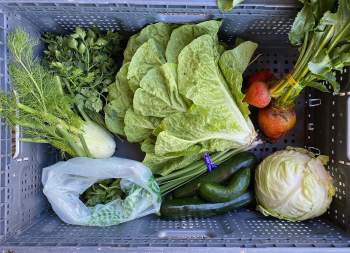 Jefferson Healthcare CSA Box Contents