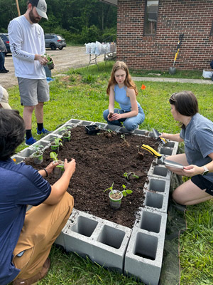 Community garden