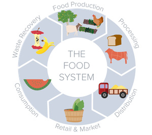 The Food System