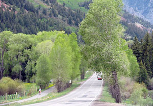 Building Rural Environments for Active Living - The Rural Monitor