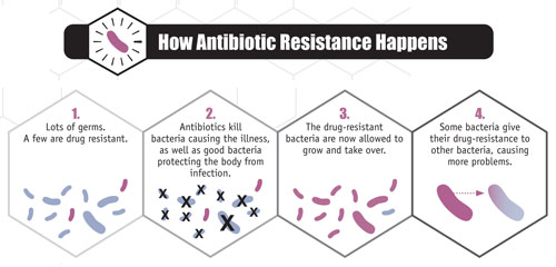 Depiction of how bacteria become resistant to antibiotics