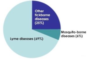 Lyme Disease Chart