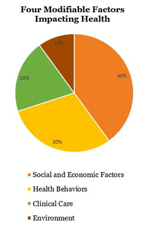 Social Determinants Of Health Chart