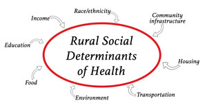 graphic identifying various rural social determinants of health