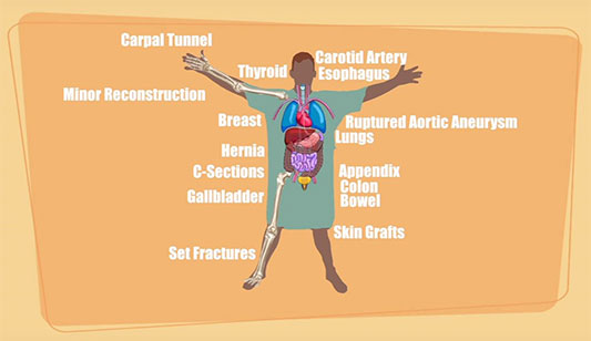 graphic of sites on the body where surgery may take place