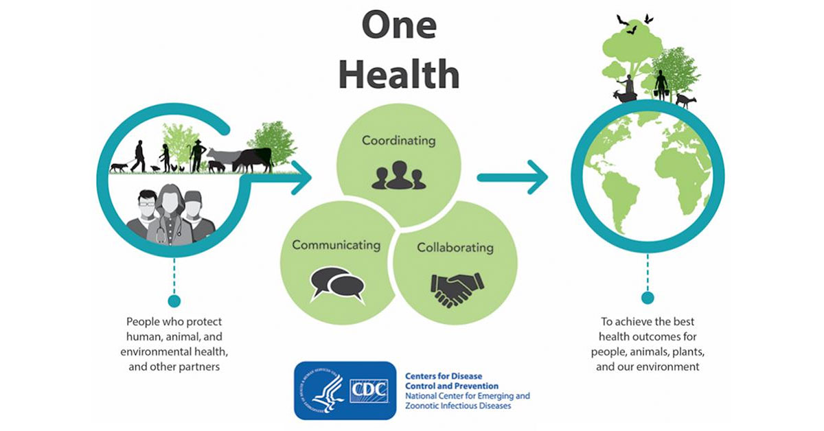 One Health: Bringing Health to Humans, Animals, and the Environment - The  Rural Monitor