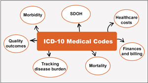 graphic depicting aspects of healthcare related to ICD-10 medical codes