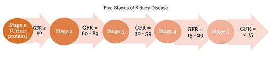 chart showing the five stages of kidney disease