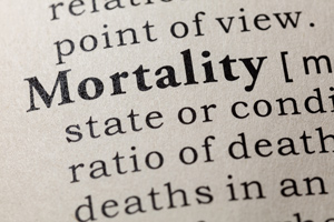 text showing a definition of the term mortality