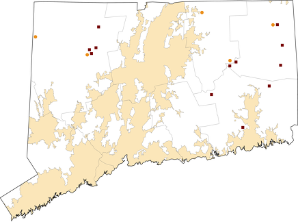 Connecticut Rural Healthcare Facilities map