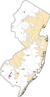 New Jersey Rural Healthcare Facilities map