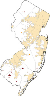 Selected Rural Healthcare Facilities in New Jersey